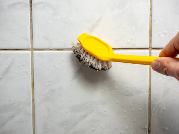 Best Toxic Mold Removal  in Fisher, IL