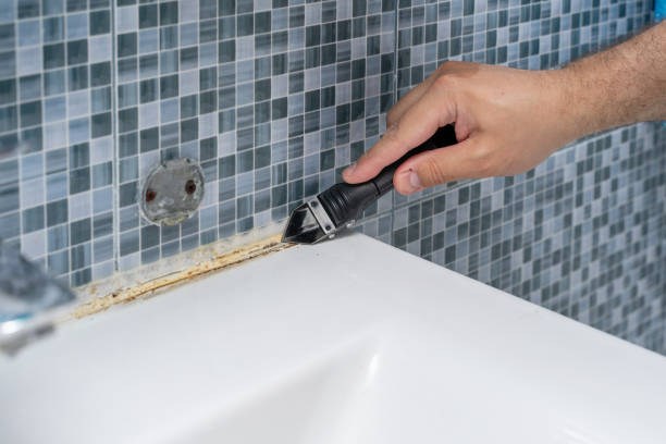 Best Mold Remediation Experts  in Fisher, IL