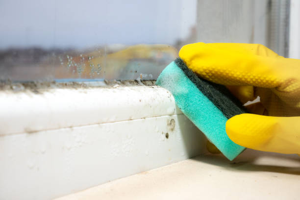 Best Professional Mold Removal  in Fisher, IL