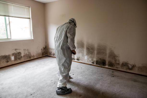 Best Mold Testing  in Fisher, IL